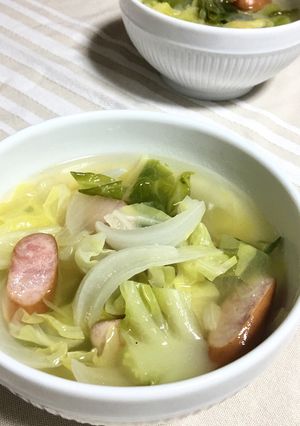 春の味覚★春キャベと新玉葱の食べるスープ-レシピのメイン写真