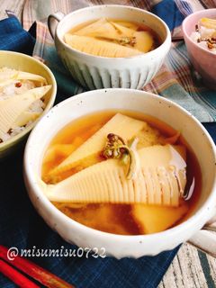 たけのことわらびのお味噌汁-レシピのメイン写真
