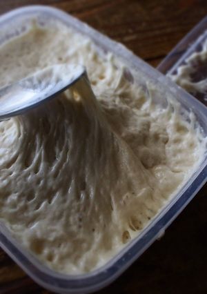 自家製酵母液からの元種作り☆全粒粉不使用-レシピのメイン写真