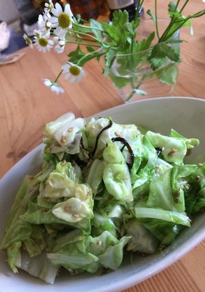 春キャベツの胡麻油蒸し-レシピのメイン写真