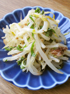 ごま油香るもやしの旨和え-レシピのメイン写真