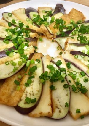 茄子と厚揚げのさっぱりレンジ蒸し-レシピのメイン写真