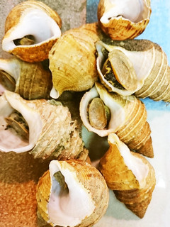 つぶ貝の塩ゆで☺️-レシピのメイン写真