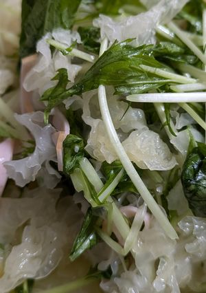 白きくらげのサラダ-レシピのメイン写真