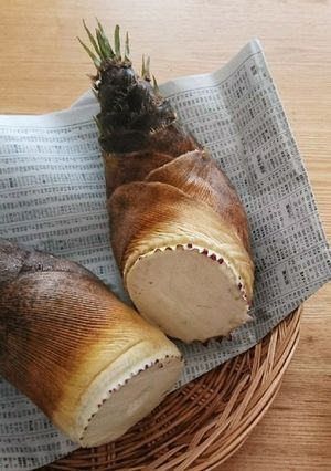 たけのこ 基本のあく抜き-レシピのメイン写真