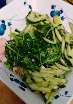 鳥肉のさっぱりサラダ風-レシピのメイン写真