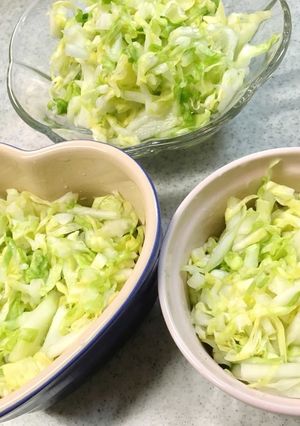 プロ直伝！酢キャベツ、減塩、腸活、千切り-レシピのメイン写真