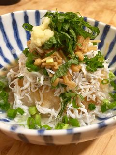 たっぷりしらすと大根おろし 薬味のせ-レシピのメイン写真