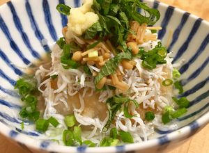 たっぷりしらすと大根おろし 薬味のせ-レシピのメイン写真