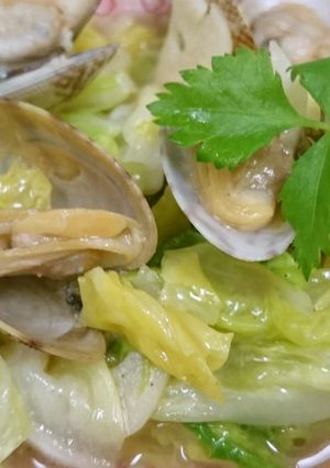 お年寄り絶賛シリーズ❗春キャベツ‼️-レシピのメイン写真