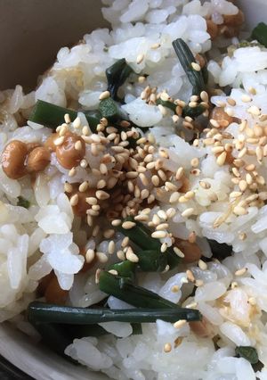 季節の味！山菜と納豆のまぜご飯-レシピのメイン写真