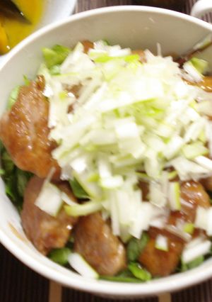 一度作ればはまっちゃう柔らかヘレ肉丼-レシピのメイン写真
