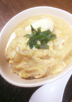 湯葉と新玉ねぎの親子丼風-レシピのメイン写真