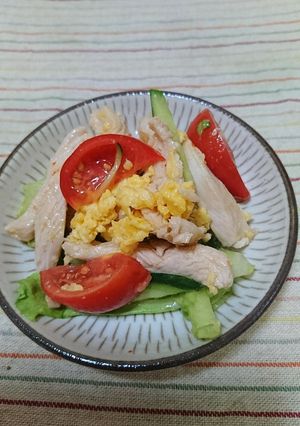 野菜たっぷり!むね肉のサラダ-レシピのメイン写真