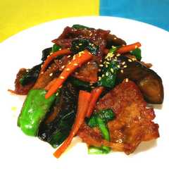 A picture of ナス 人参 豚肉ミソ炒め.