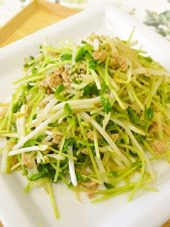 豆苗ともやしのひき肉炒め-レシピのメイン写真