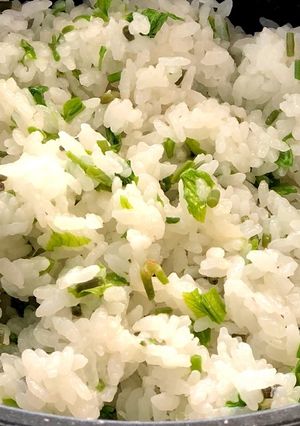 コシアブラご飯 キャンプの朝ごはん-レシピのメイン写真