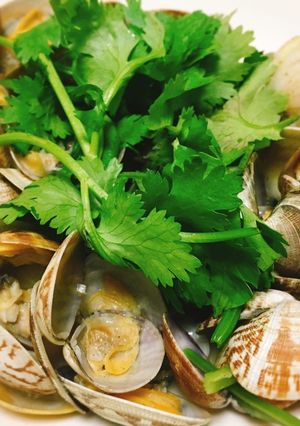 あさりの酒蒸し〜パクチー風味〜-レシピのメイン写真