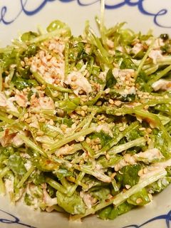 豆苗のツナマヨあえ-レシピのメイン写真