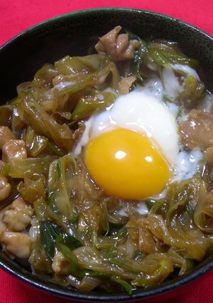 ねぎたっーぷり♪温泉卵 de 親子丼-レシピのメイン写真