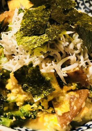 丸天＆薄揚げのゴーヤチャンプルーしらす添-レシピのメイン写真
