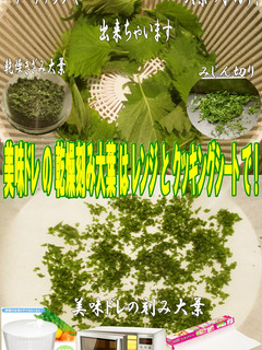 美味ドレのバリバリサラダとレンジ刻み大葉-レシピのメイン写真