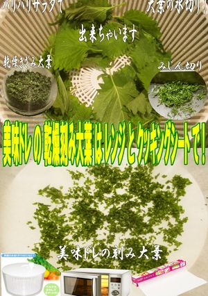 美味ドレのバリバリサラダとレンジ刻み大葉-レシピのメイン写真