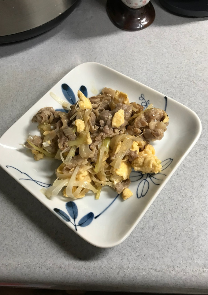 豚肉とねぎの卵炒め-レシピのメイン写真