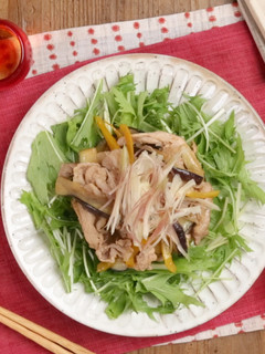 なすと豚肉のさっぱりサラダ風♪-レシピのメイン写真