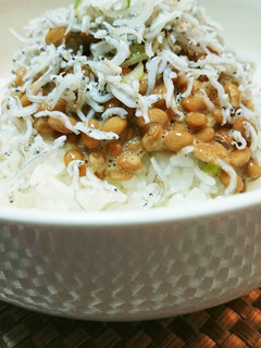 納豆しらす丼-レシピのメイン写真