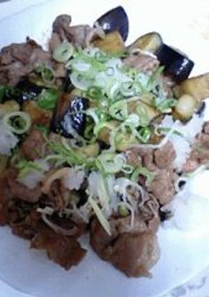 茄子と豚肉のおろし炒め-レシピのメイン写真