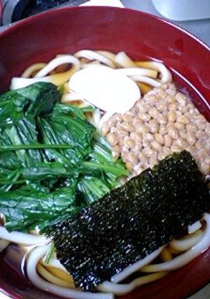 幼児食応用可！ほうれん草納豆うどん-レシピのメイン写真