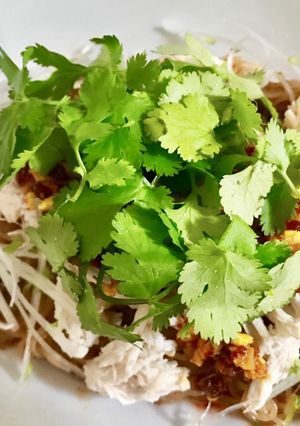 辛旨☆パクチーとササミのビビン冷麺-レシピのメイン写真