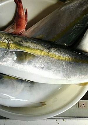 ヤズのあら煮-レシピのメイン写真