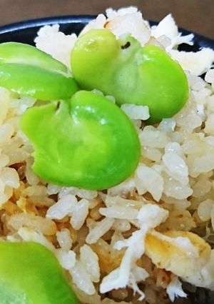 自家製出し醤油で簡単空豆入り鯛飯-レシピのメイン写真
