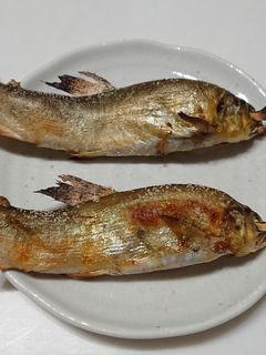 鮎の塩焼き グリル使用<備忘録>-レシピのメイン写真