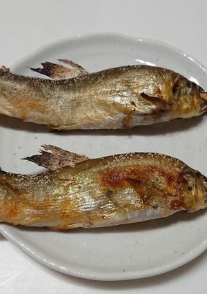 鮎の塩焼き　グリル使用＜備忘録＞-レシピのメイン写真
