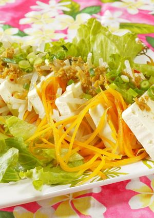 豆腐サラダ生姜ドレッシング-レシピのメイン写真