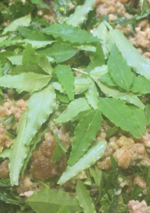 桑の葉ひき肉-レシピのメイン写真