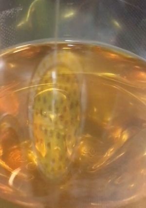 ヘット(牛脂)で手作り油-レシピのメイン写真
