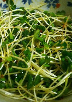 辛味かいわれ-レシピのメイン写真