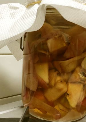 アップルサイダービネガー　手作り-レシピのメイン写真