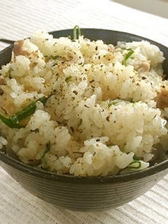 豚切り落とし肉とネギの炊き込みご飯-レシピのメイン写真