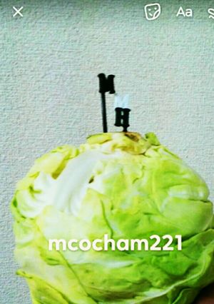 簡単!キャベツ保存方法-レシピのメイン写真