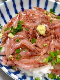 春の楽しみ♩生桜えび丼-レシピのメイン写真
