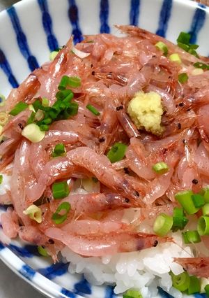 春の楽しみ♩生桜えび丼-レシピのメイン写真