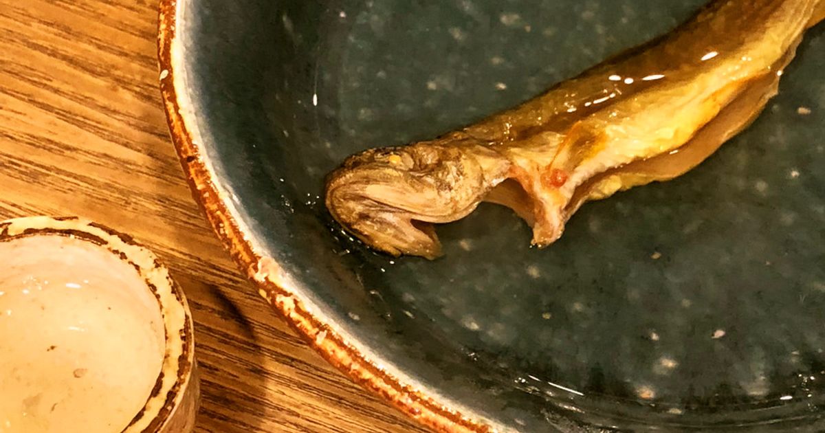 基本からアレンジまで！思わずつくりたくなる「骨酒」のレシピ集 | クックパッド