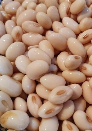 大豆 基本の戻し方-レシピのメイン写真