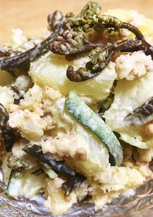 ワラビと鶏そぼろのポテトサラダ-レシピのメイン写真