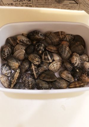 あさりの砂抜き-レシピのメイン写真